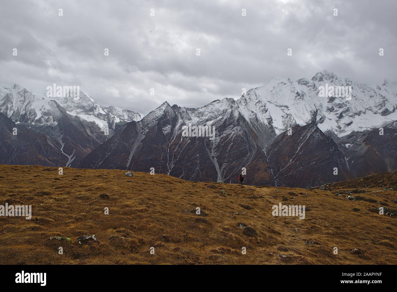 Langtang Valler mountain range su un moody nuvoloso giorno Foto Stock