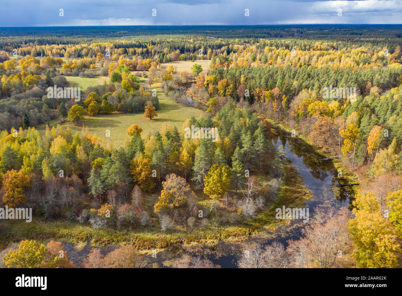 Bosco in autunno colori. Alberi colorati e un serpeggiante fiume azzurro. Rosso, giallo, arancione, verde di alberi decidui in caduta. Koiva national park, Lettonia, E Foto Stock