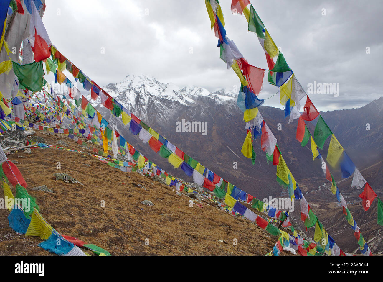 Bandiere di preghiera di fronte montagne innevate della Valle di Langtang (salita a Kyanjin Ri) Foto Stock