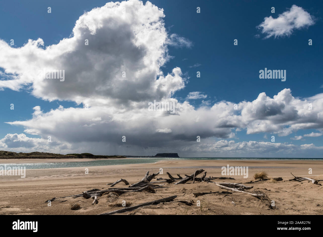 Il dado, Stanley da Peggs Conservation Area beach Foto Stock