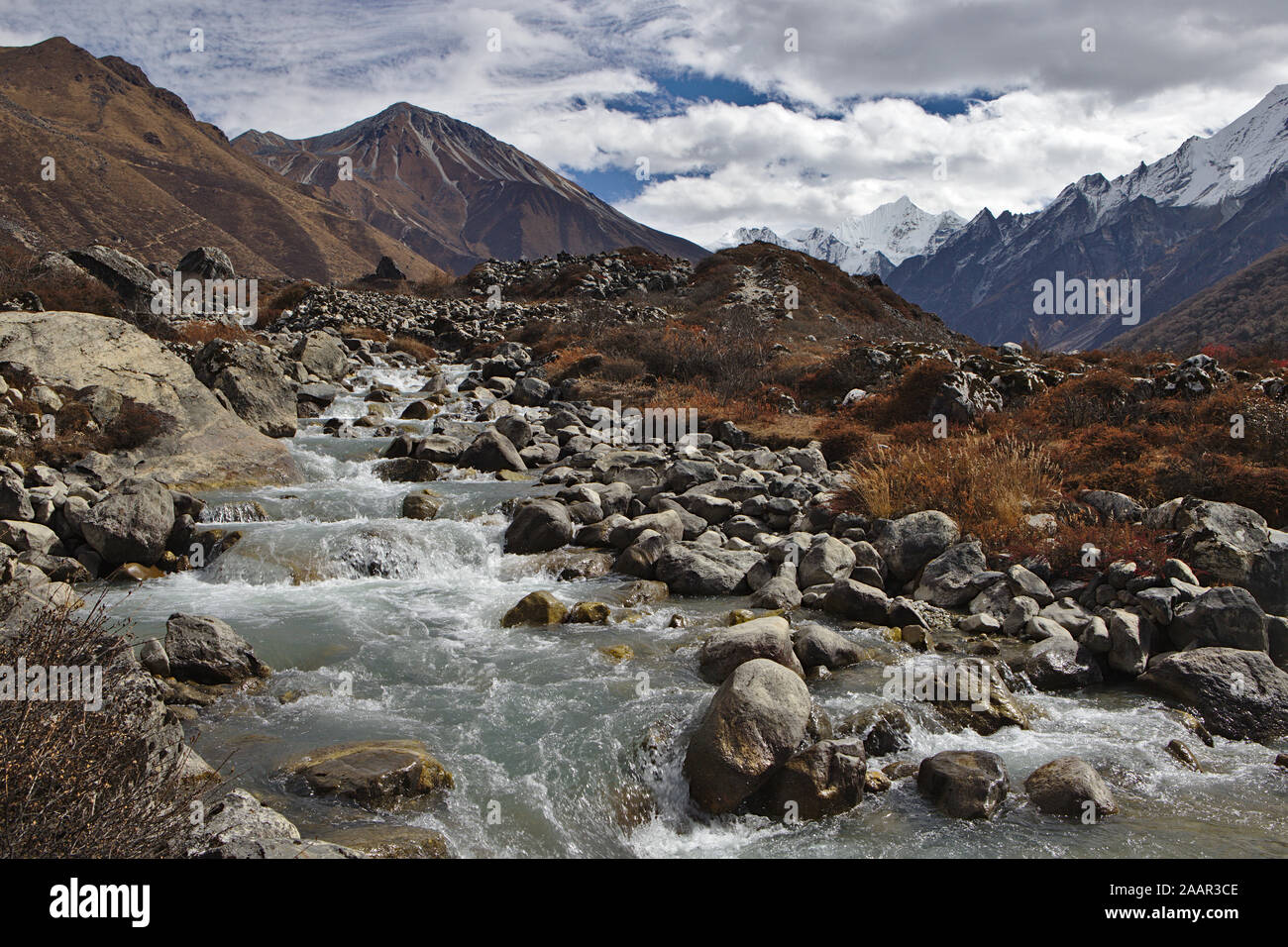 Scenario dalla valle di Langtang trek Foto Stock