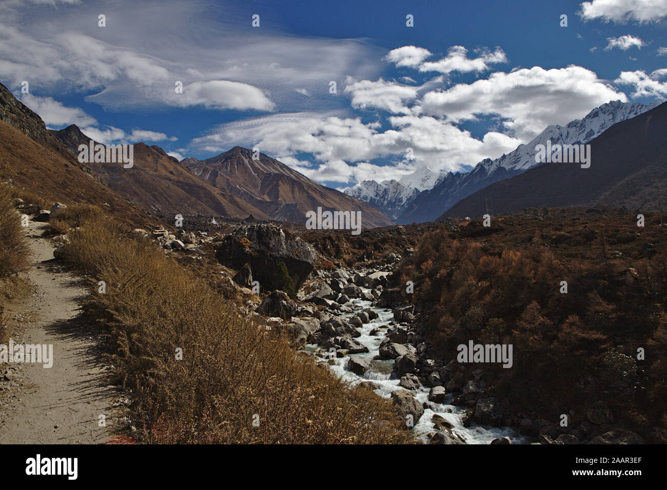 Scenario dalla valle di Langtang trek Foto Stock