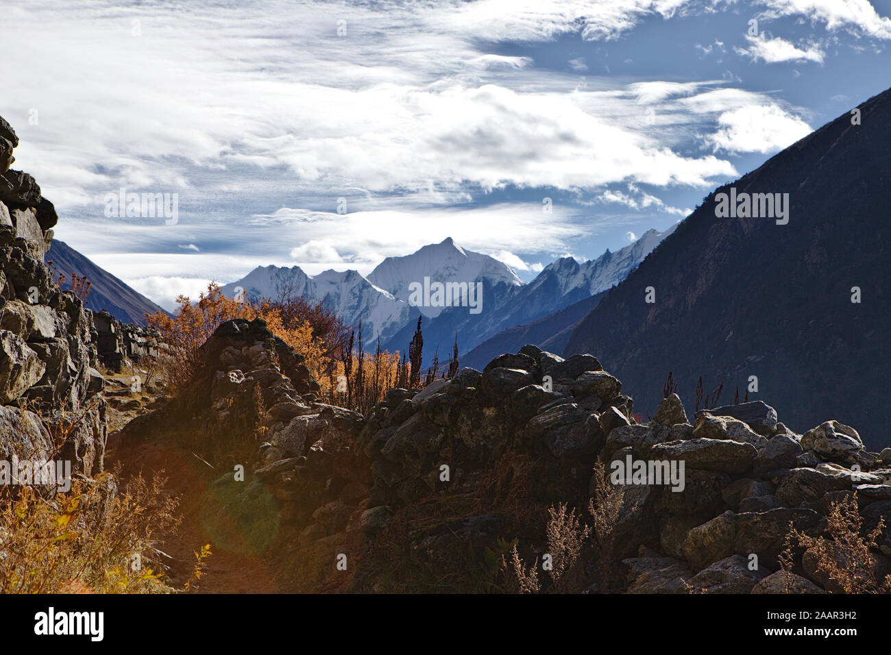 Scenario dalla valle di Langtang trek Foto Stock