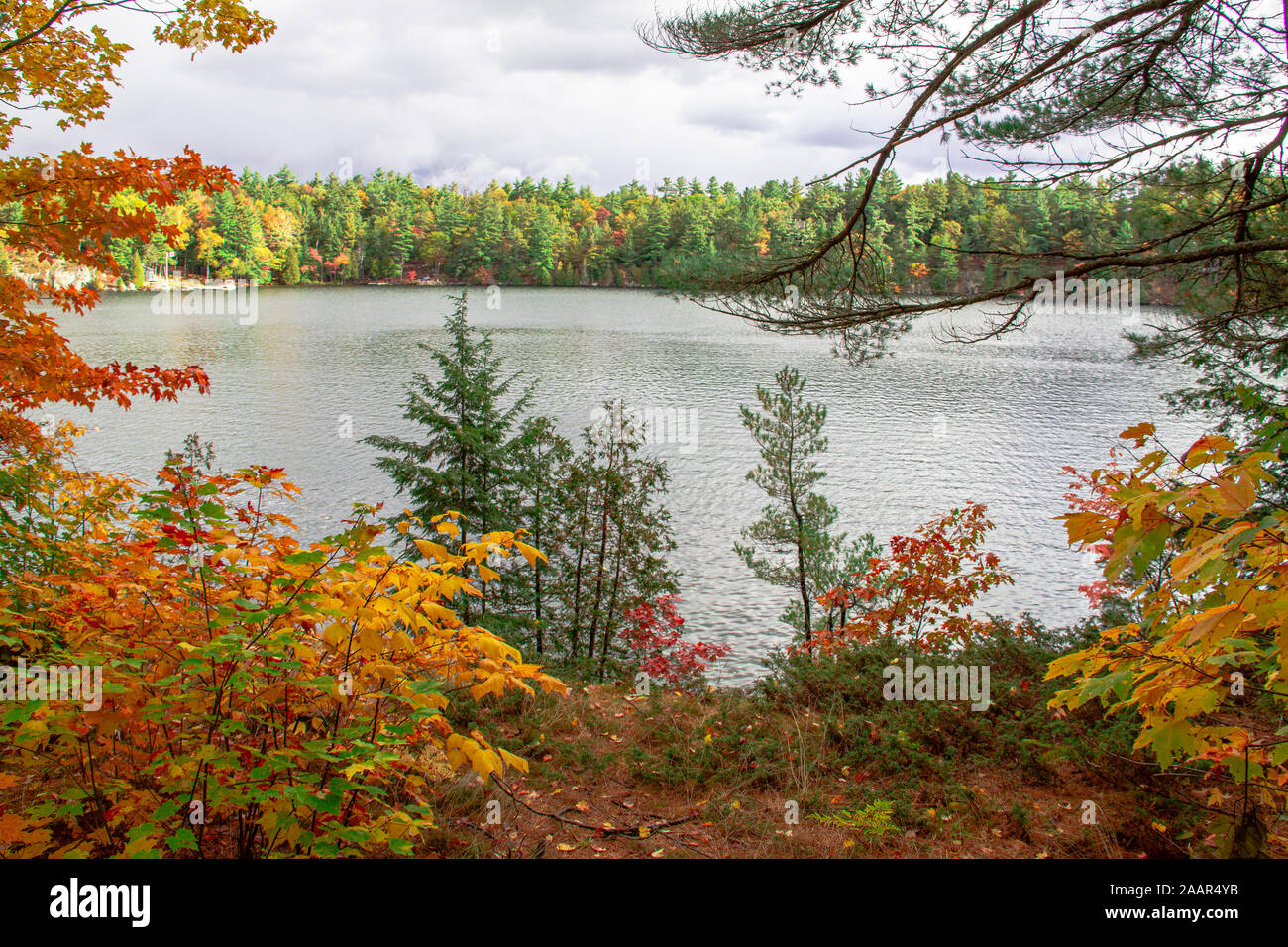 Autunno sfondo , Vista lago Foto Stock
