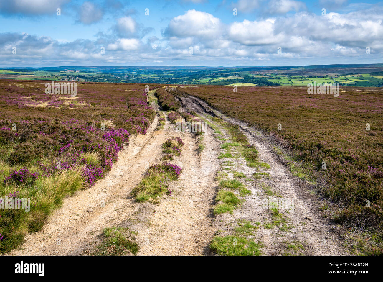La campagna idilliaca di Whitby, Regno Unito. Foto Stock