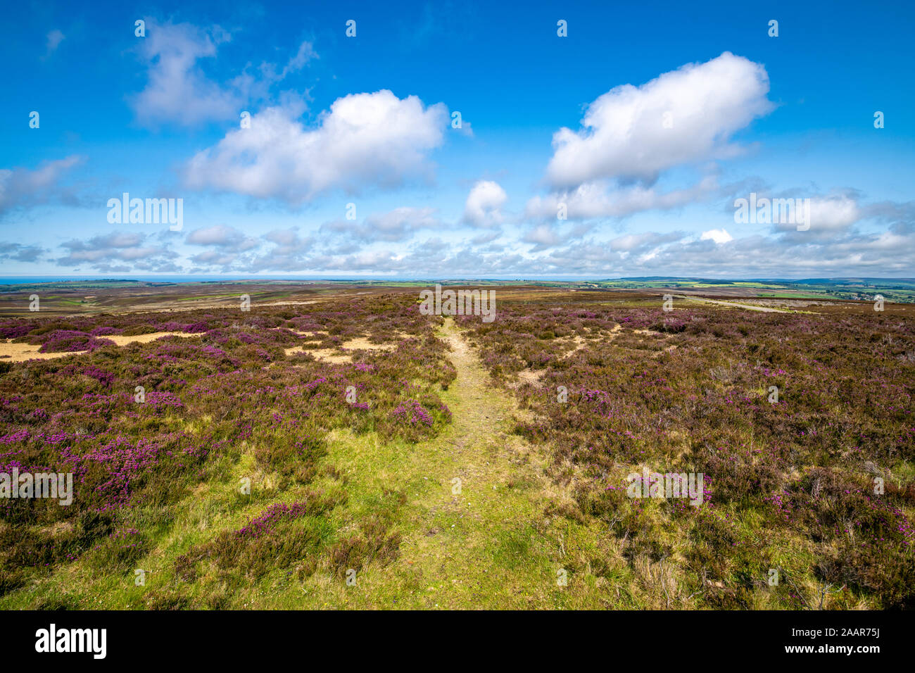 La campagna idilliaca di Whitby, Regno Unito. Foto Stock