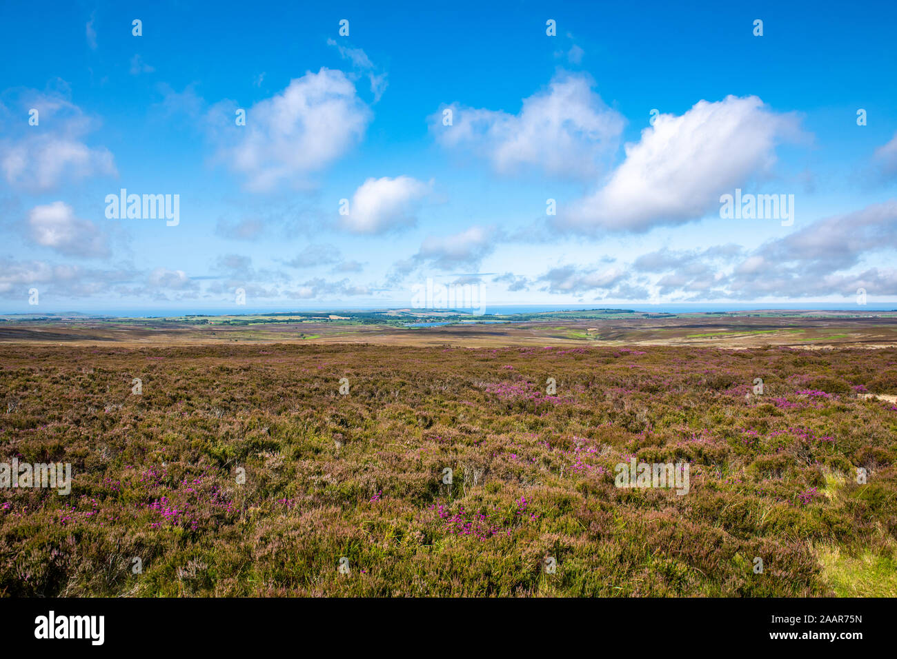 La campagna idilliaca di Whitby, Regno Unito. Foto Stock