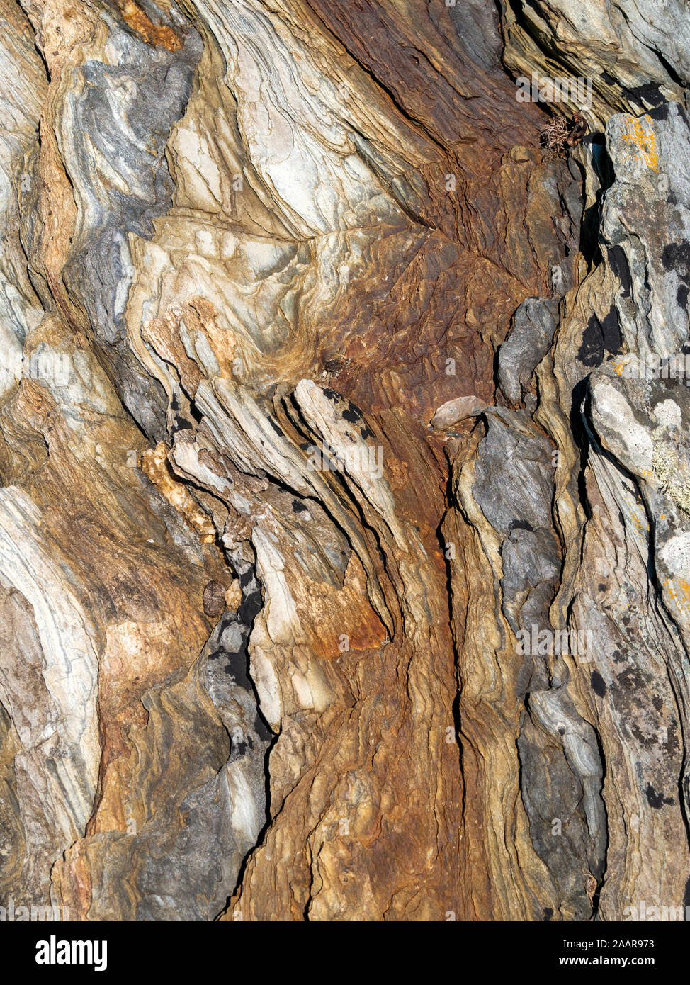 Weathered roccia arenaria strati, Isola di Colonsay Foto Stock