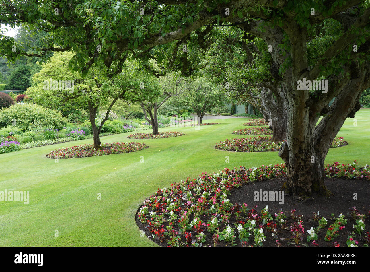 Parco paesaggistico con alberi e fiori Foto Stock