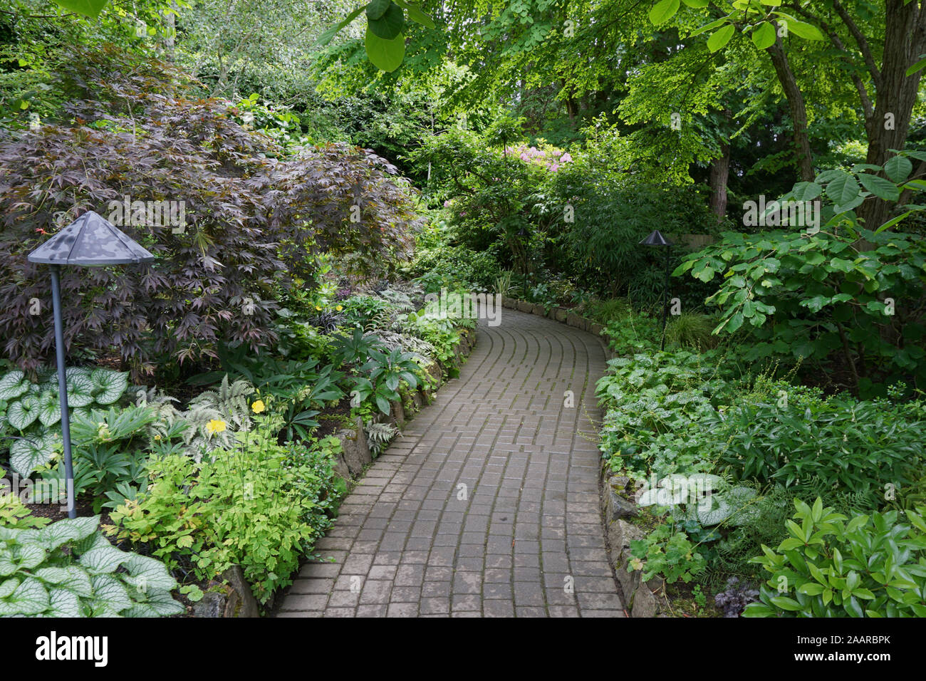 Un percorso di pietra attraverso il giardino Foto Stock