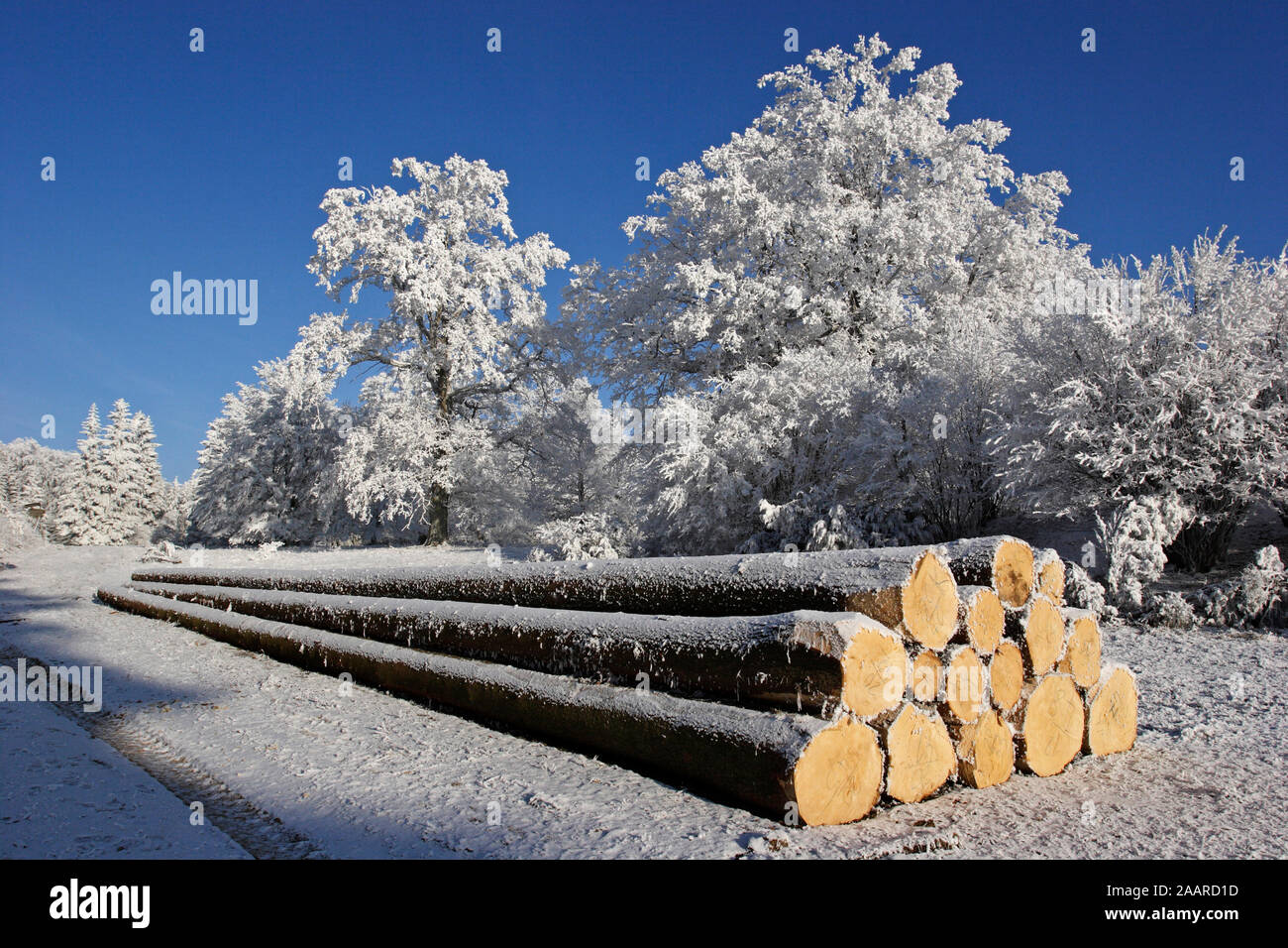 Naturschutzgebiet Dellenhäule im Winter mit Raureif Foto Stock