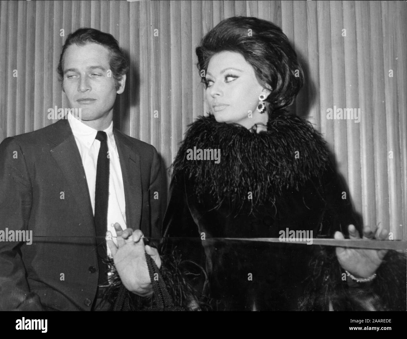 Anni sessanta - Attore PAUL LEONARD NEWMAN, sinistra, con l'attrice Sophia Loren. (Credito Immagine: © Keystone Press Agency/Keystone USA via ZUMAPRESS.com) Foto Stock