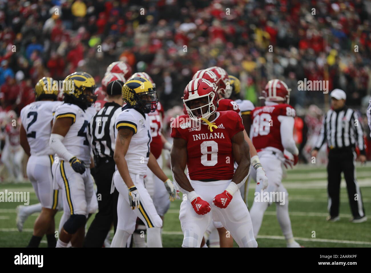 Bloomington, Indiana, Stati Uniti d'America. 23 Nov, 2019. L'Indiana Stevie Scott III (8) punteggi un touchdown contro Michigan University durante un collegio di NCAA Football game al Memorial Stadium di Bloomington, ind., Stati Uniti d'America. Il punteggio al tempo di emisaturazione era Michigan 20 e UI 14. Credito: Jeremy Hogan/Alamy Live News. Foto Stock