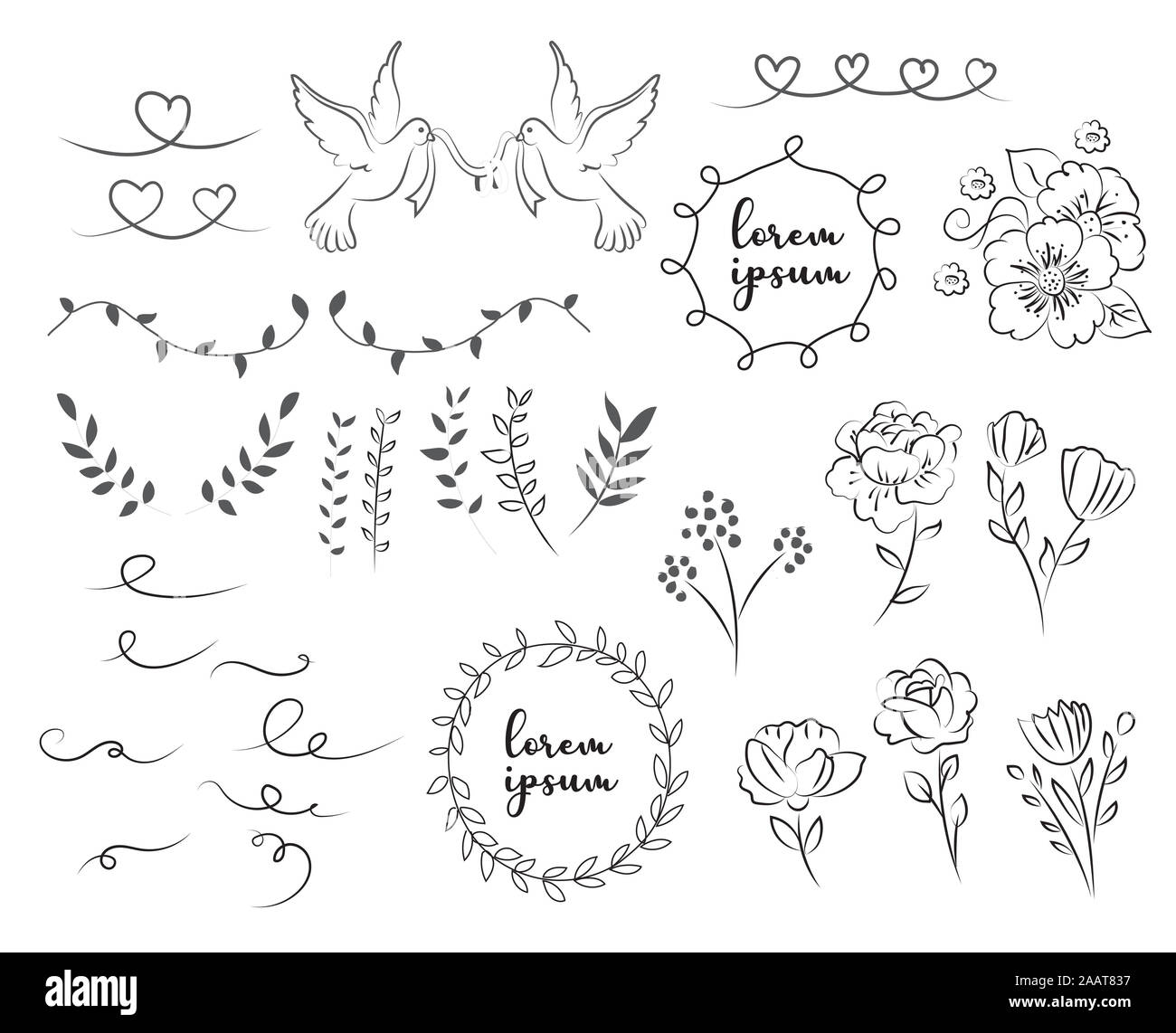 Set di ornamento nuziale inclusa floral su uno sfondo bianco - Vettore Foto Stock