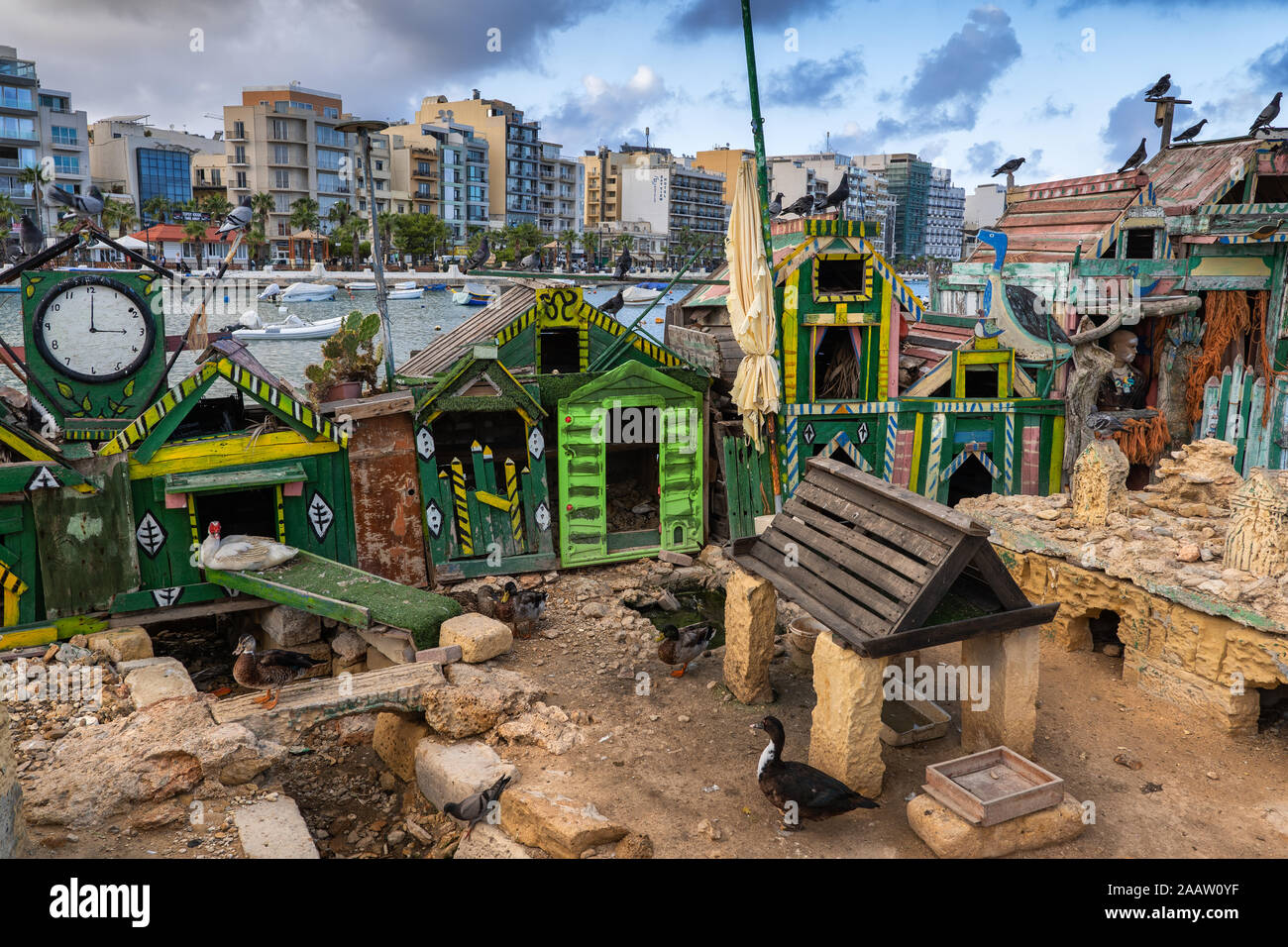 Duck Village santuario degli uccelli sull'isola di Manoel, il Gzira, Malta Foto Stock