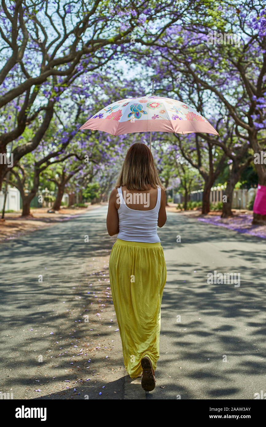 Donna che cammina con il suo ombrello medio di una strada piena di alberi di jacaranda in fioritura, Pretoria, Sud Africa Foto Stock