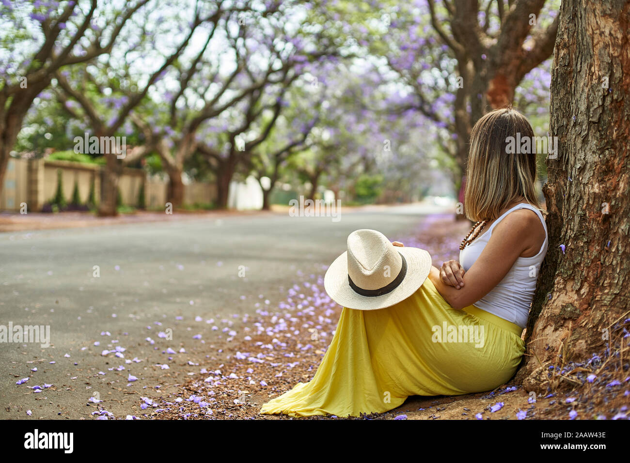 Donna appoggiato su di un albero in una strada con alberi di jacaranda in fioritura, Pretoria, Sud Africa Foto Stock