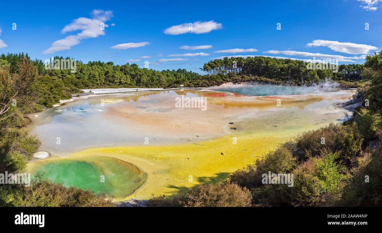 Artista della tavolozza, Wai-O-Tapu Thermal Wonderland, Taupo zona vulcanica, l'isola nord, Nuova Zelanda Foto Stock