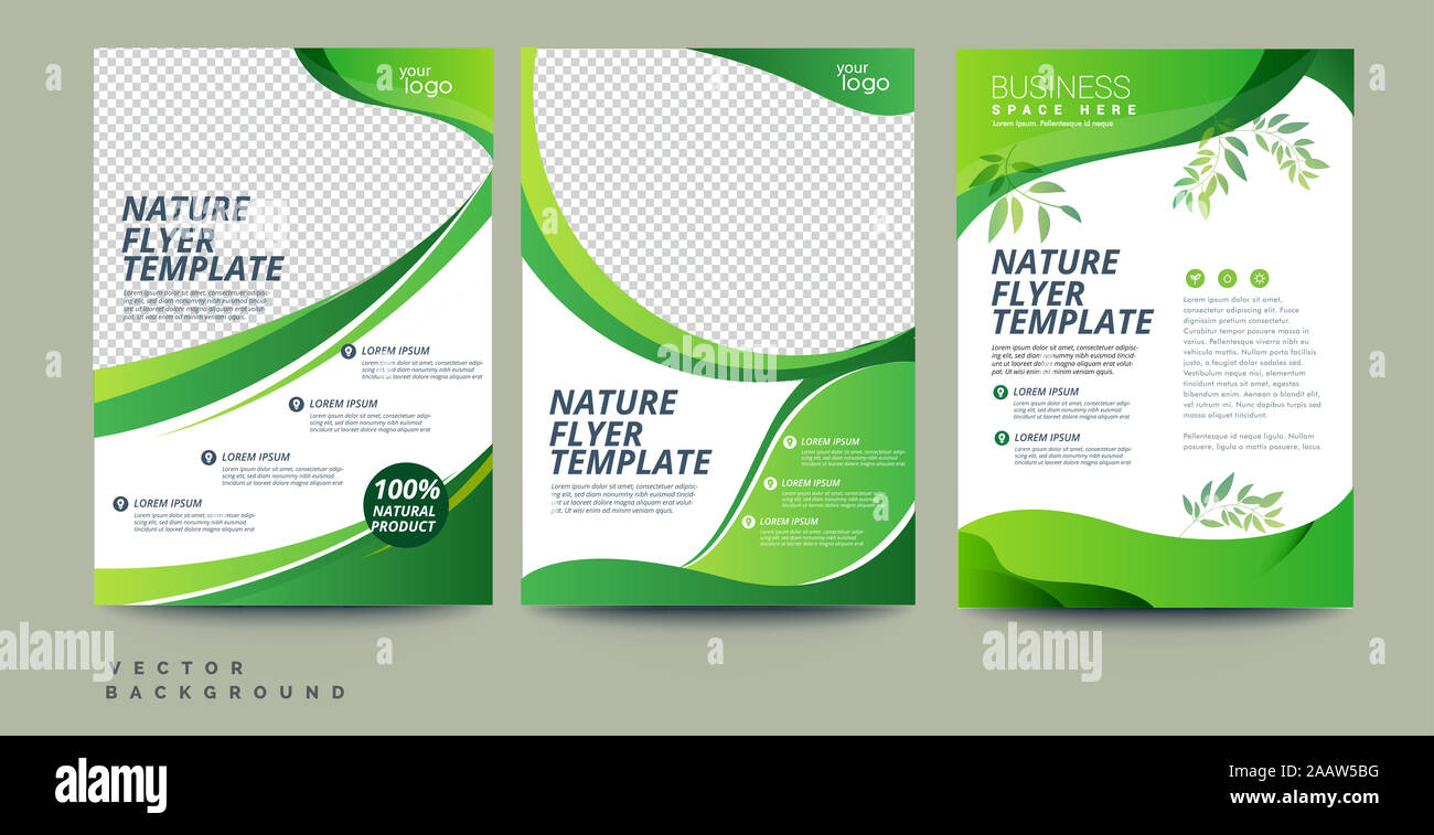 Vettore eco flyer, Poster, brochure, copertina modello. Moderno a foglia verde, ambiente di progettazione. - Vettore Foto Stock