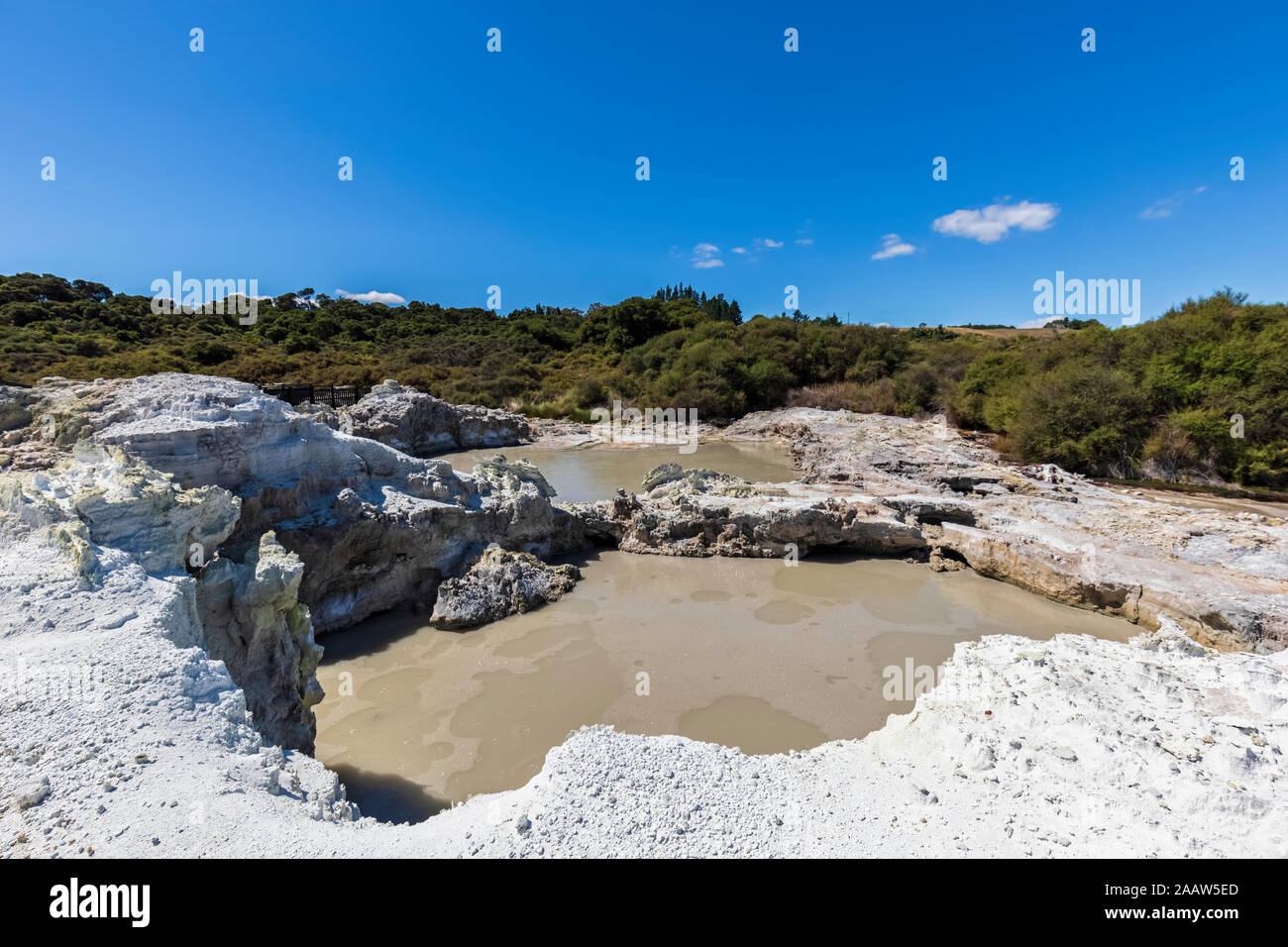 Hell's Gate, geotermica Park, Tikitere, Rotorua, Isola del nord, Nuova Zelanda Foto Stock