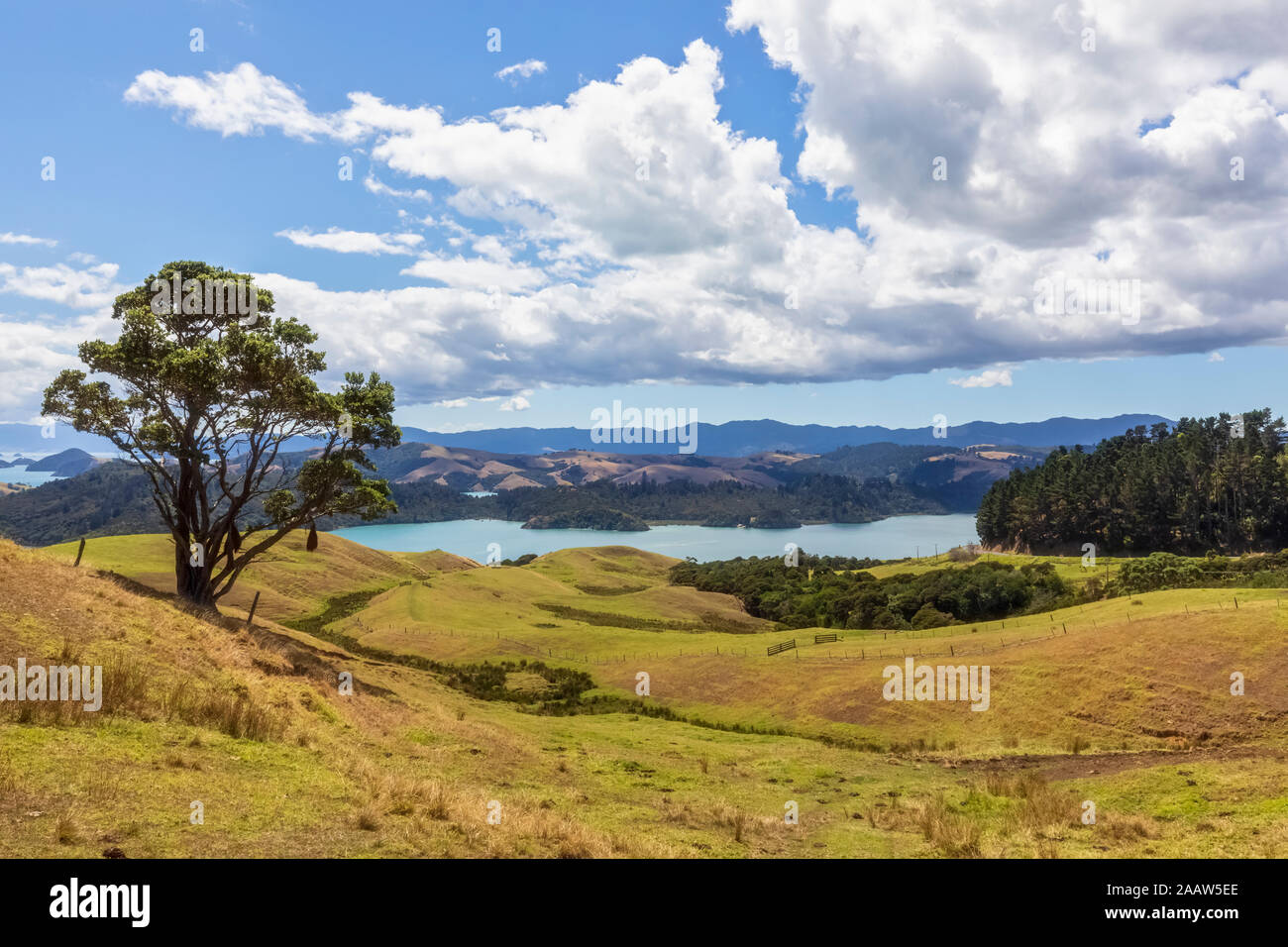 Nuova Zelanda, Isola del nord, Waikato, paesaggio panoramico contro il cielo nuvoloso Foto Stock