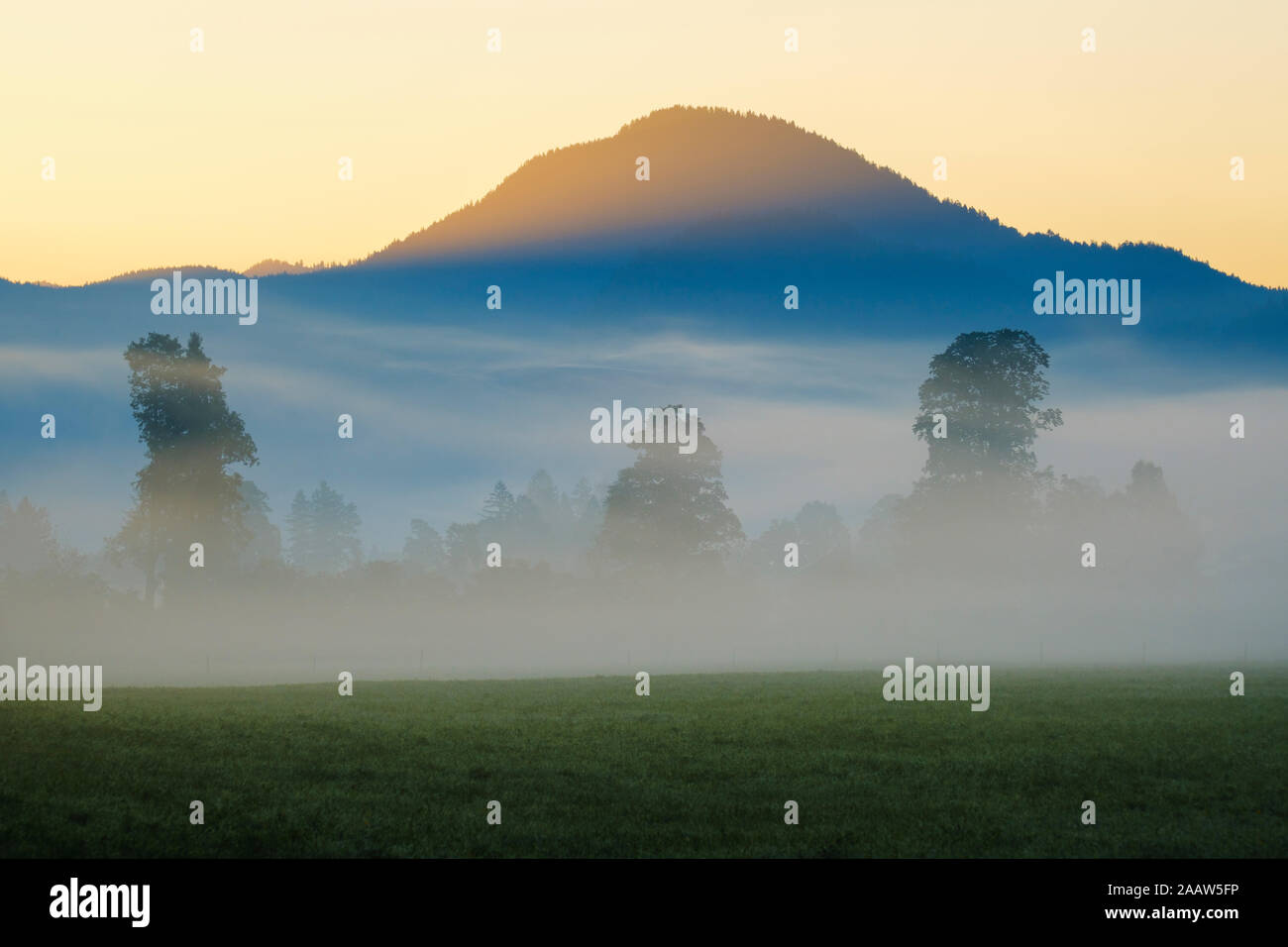 In Germania, in Baviera, Baviera, Isarwinkel, Jachenau, montagna e foresta nella nebbia di sunrise Foto Stock