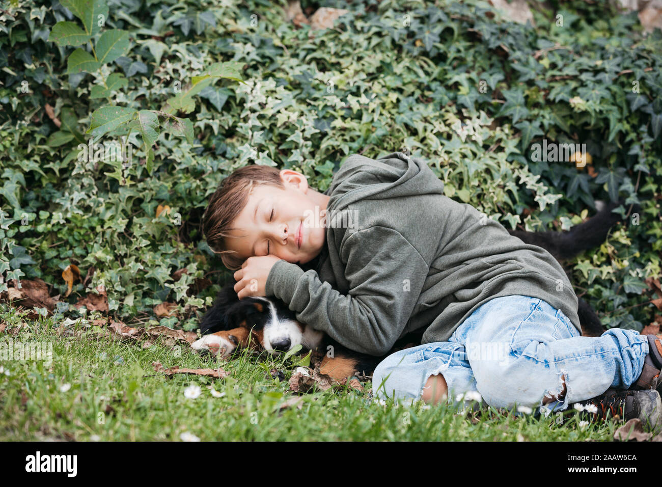 Ragazzo giocando con il suo Bovaro del Bernese nel giardino Foto Stock