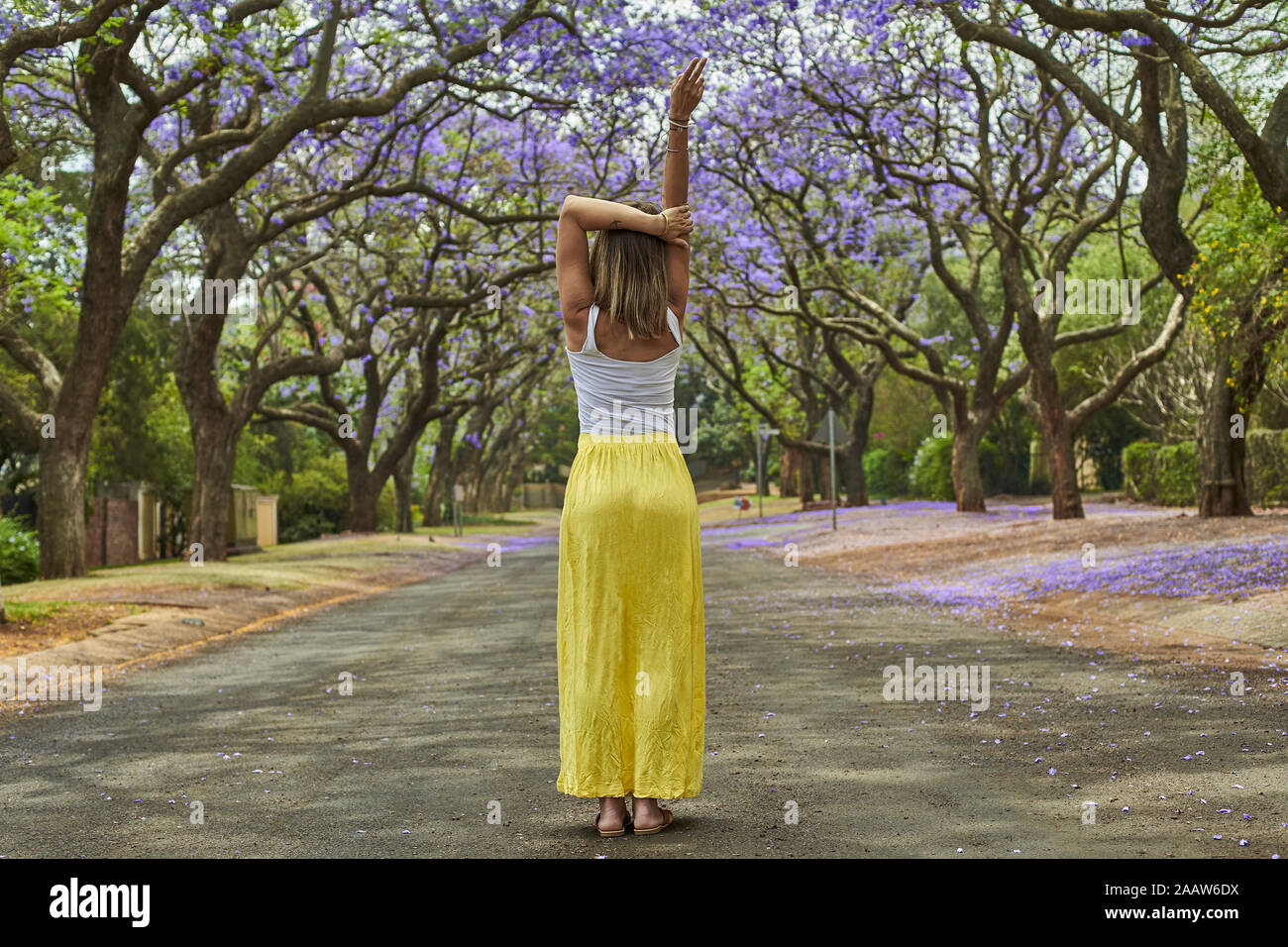 La donna al centro di una strada piena di alberi di jacaranda in fioritura, Pretoria, Sud Africa Foto Stock