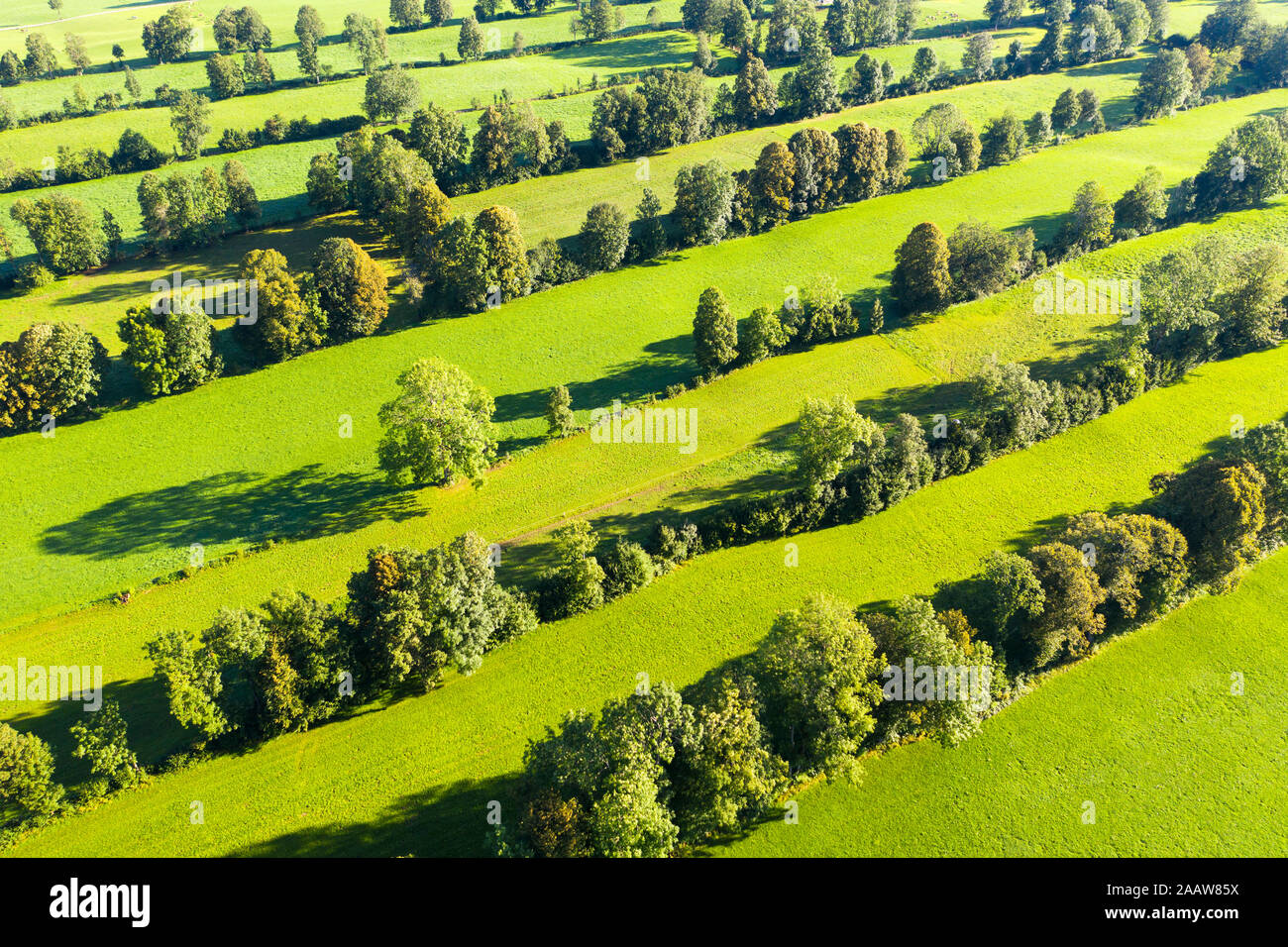 Angolo di alta vista del monumento naturale paesaggio hedge a Gaissach, Lenggries, Isarwinkel, Alta Baviera, Baviera, Germania Foto Stock
