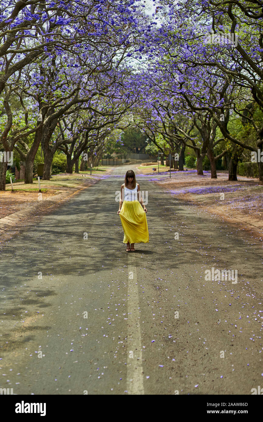 Donna che cammina nel mezzo di una strada piena di alberi di jacaranda in fioritura, Pretoria, Sud Africa Foto Stock