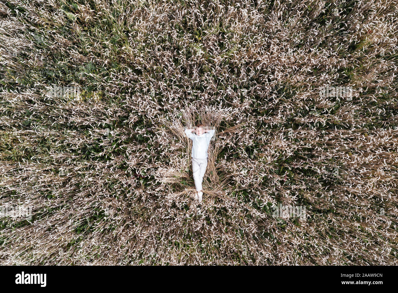 Ragazzo biondo giacente in un campo di avena Foto Stock