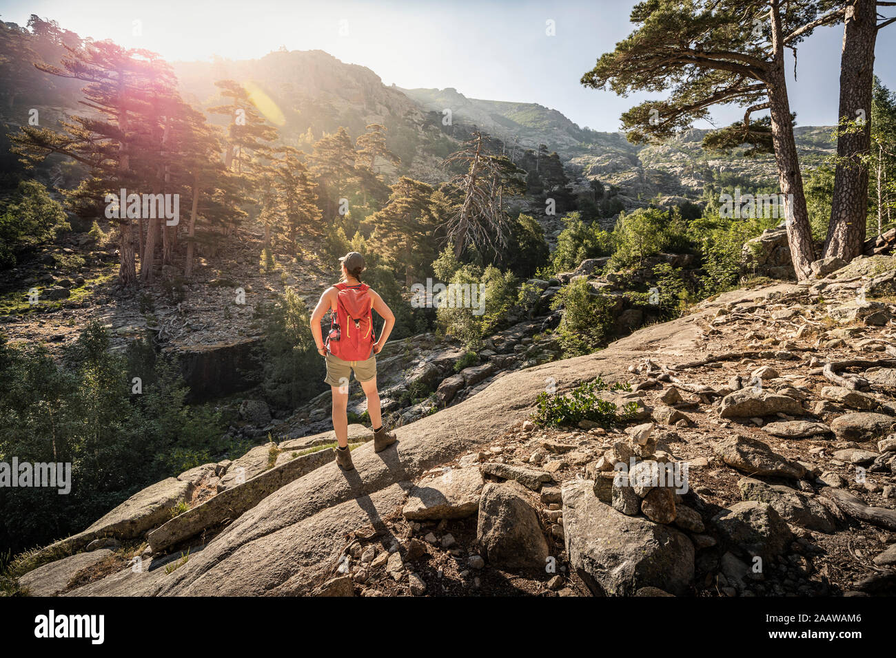Escursionista femmina durante la camminata, Albertacce, Haute-Corse, Corsica, Francia Foto Stock