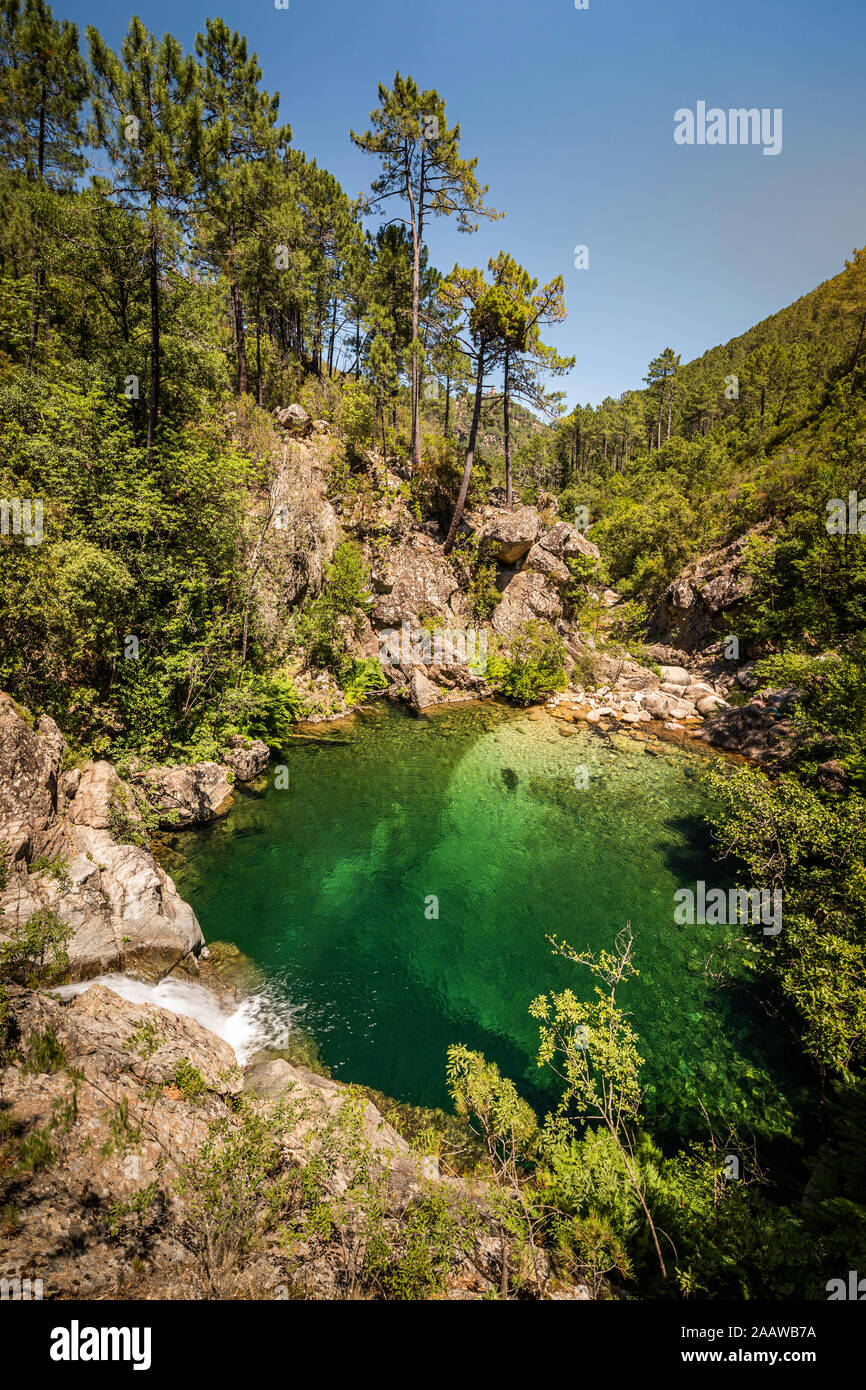 La cascata e piscina, Ruisseau de Polischellu, Corse-du-Sud, Corsica, Francia Foto Stock