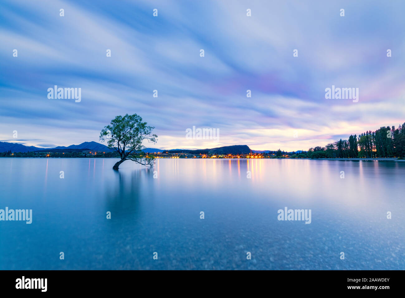 Lone Tree del Lago Wanaka contro il cielo nuvoloso al tramonto, Isola del Sud, Nuova Zelanda Foto Stock