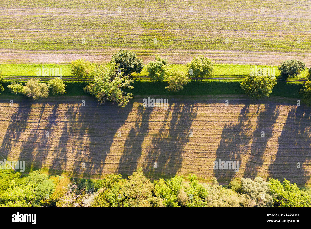 In Germania, in Baviera, Schftlarn, vista aerea del campo Foto Stock