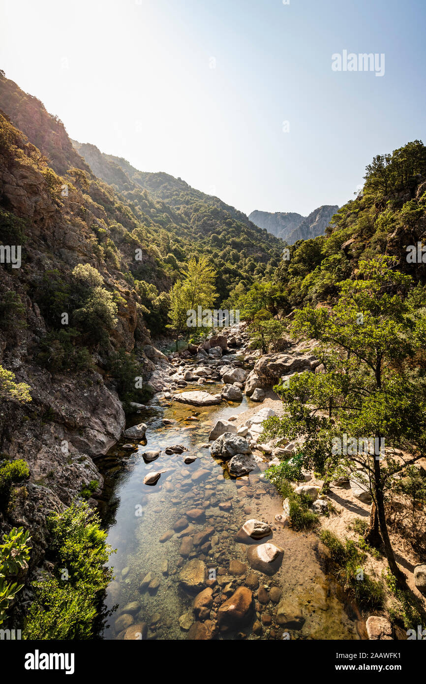 Ruisseau de Aitone, Gorges de Spelunca, Ota, Corsica, Francia Foto Stock