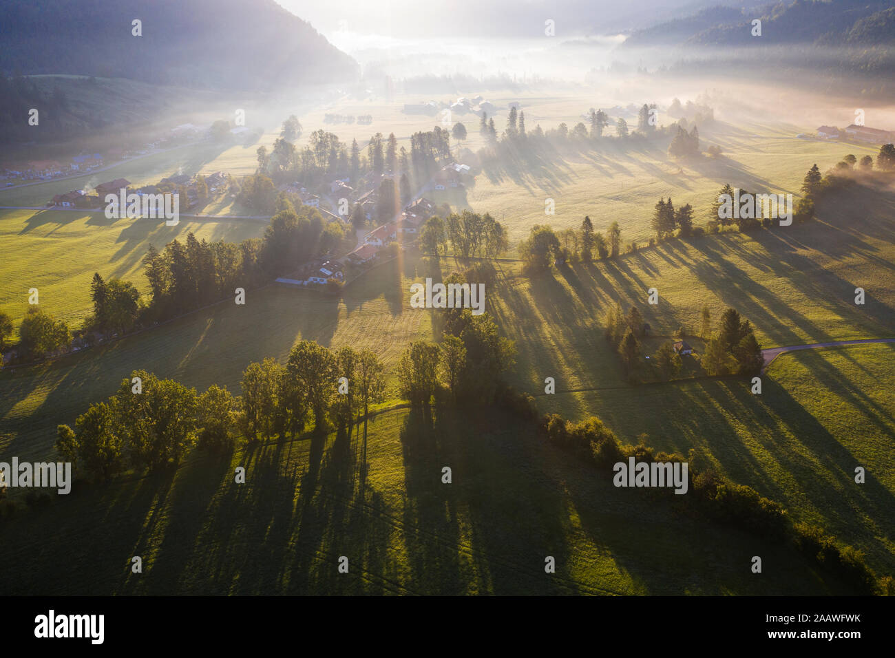 In Germania, in Baviera, Baviera, Isarwinkel, Jachenau, paesaggio rurale nella nebbia di sunrise Foto Stock