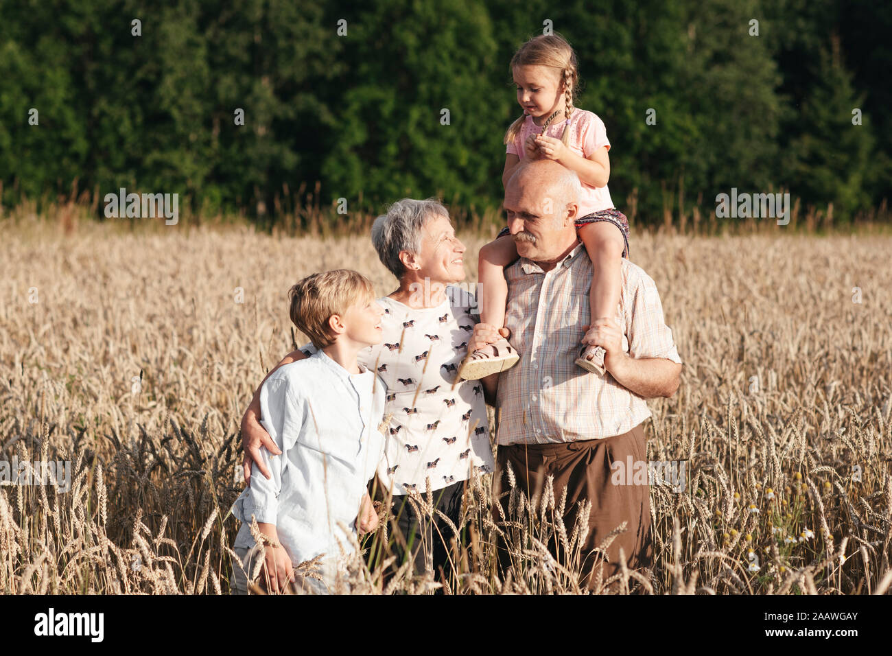 Ritratto di famiglia di nonni con i loro nipoti in un campo di avena Foto Stock