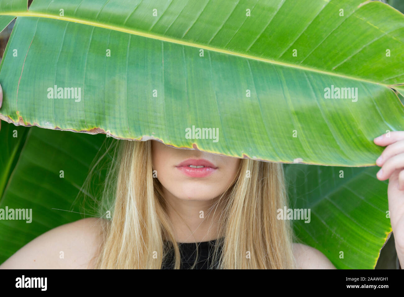 Giovane donna bionda che coprono gli occhi con grandi foglie, close-up Foto Stock