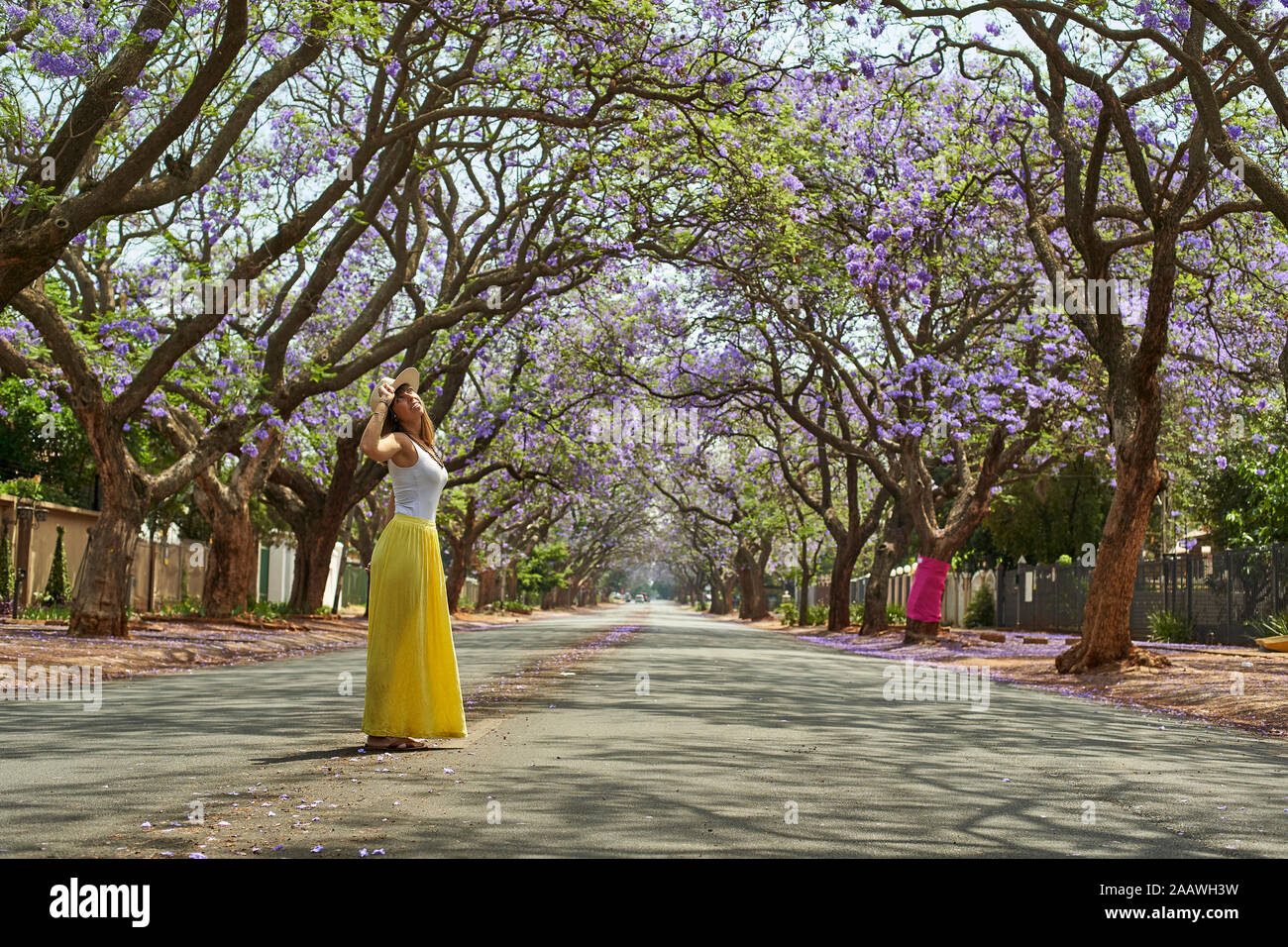 Donna che indossa un cappello, in piedi al centro di una strada piena di alberi di jacaranda in fioritura, Pretoria, Sud Africa Foto Stock