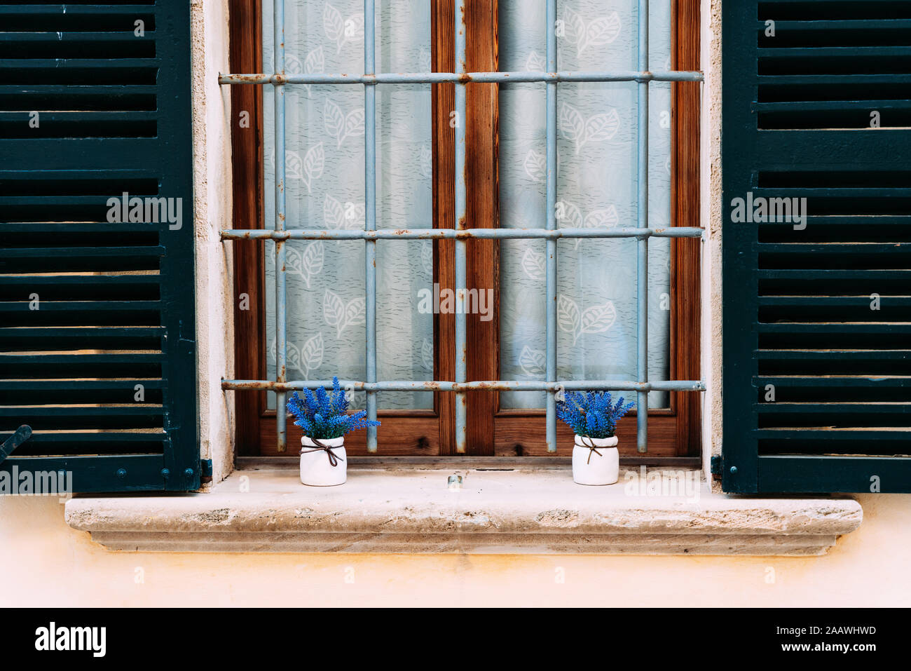 Due vasi con fiori blu su un davanzale all'aperto Foto Stock