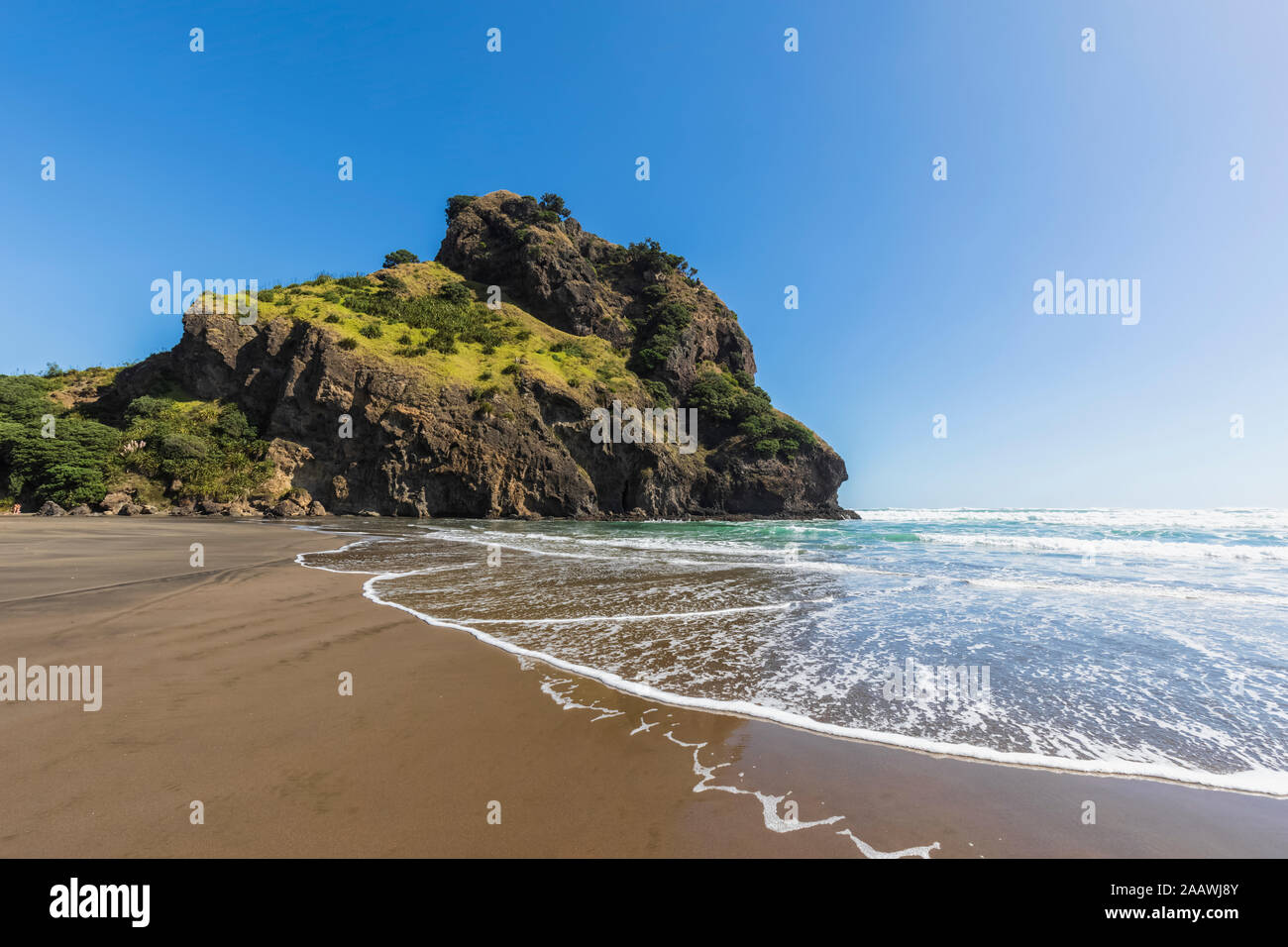 Vista panoramica di Piha Beach contro il cielo blu e chiaro durante la giornata di sole, Auckland, Nuova Zelanda Foto Stock