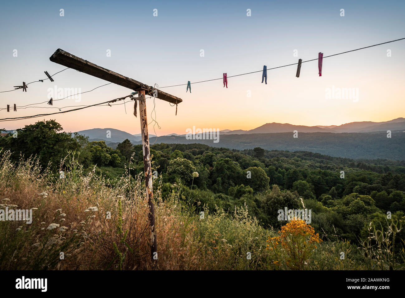 Vecchio stendibiancheria con clothespins al tramonto, Zonza, Corsica, Francia Foto Stock