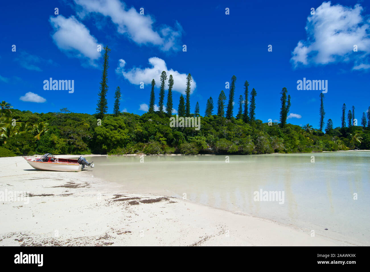Barca ormeggiata presso la spiaggia da alberi contro il cielo blu, Melanesia, Nuova Caledonia Foto Stock