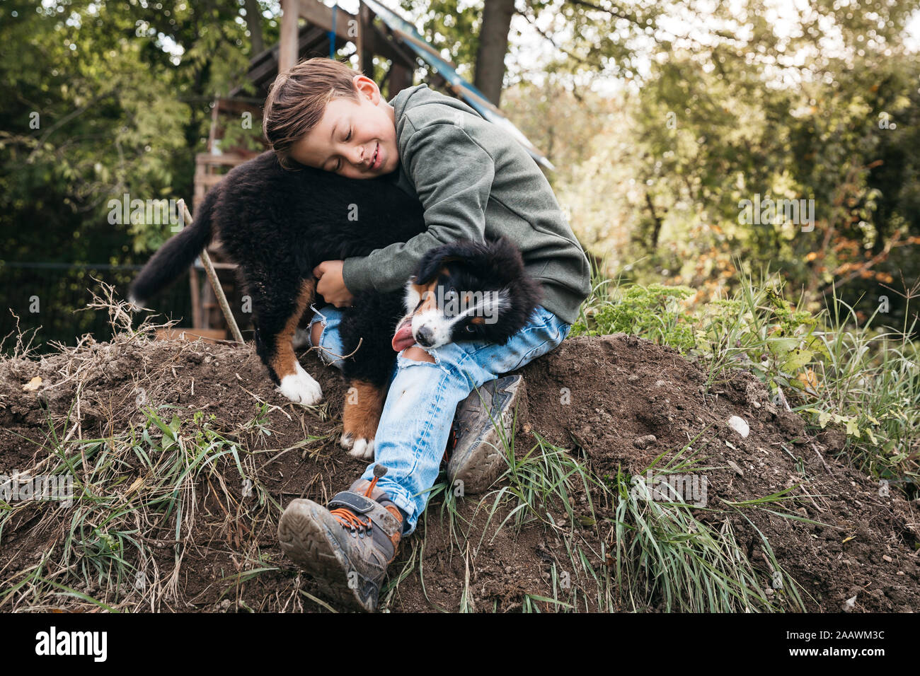 Ragazzo giocando con il suo Bovaro del Bernese nel giardino Foto Stock