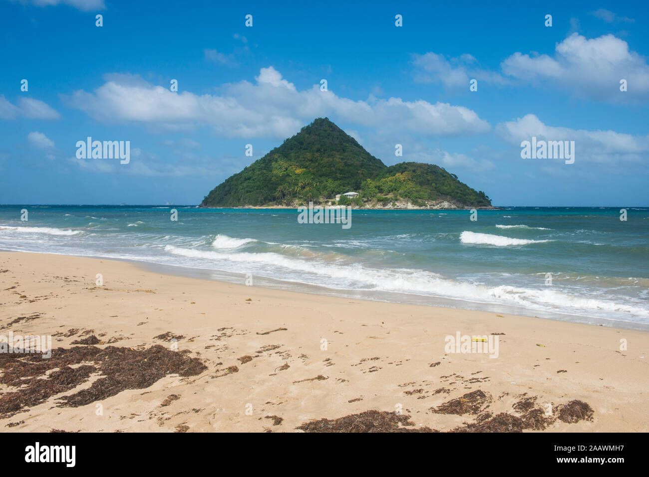 Vista panoramica della spiaggia di Levera e Sugar Loaf isola a Grenada, dei Caraibi Foto Stock