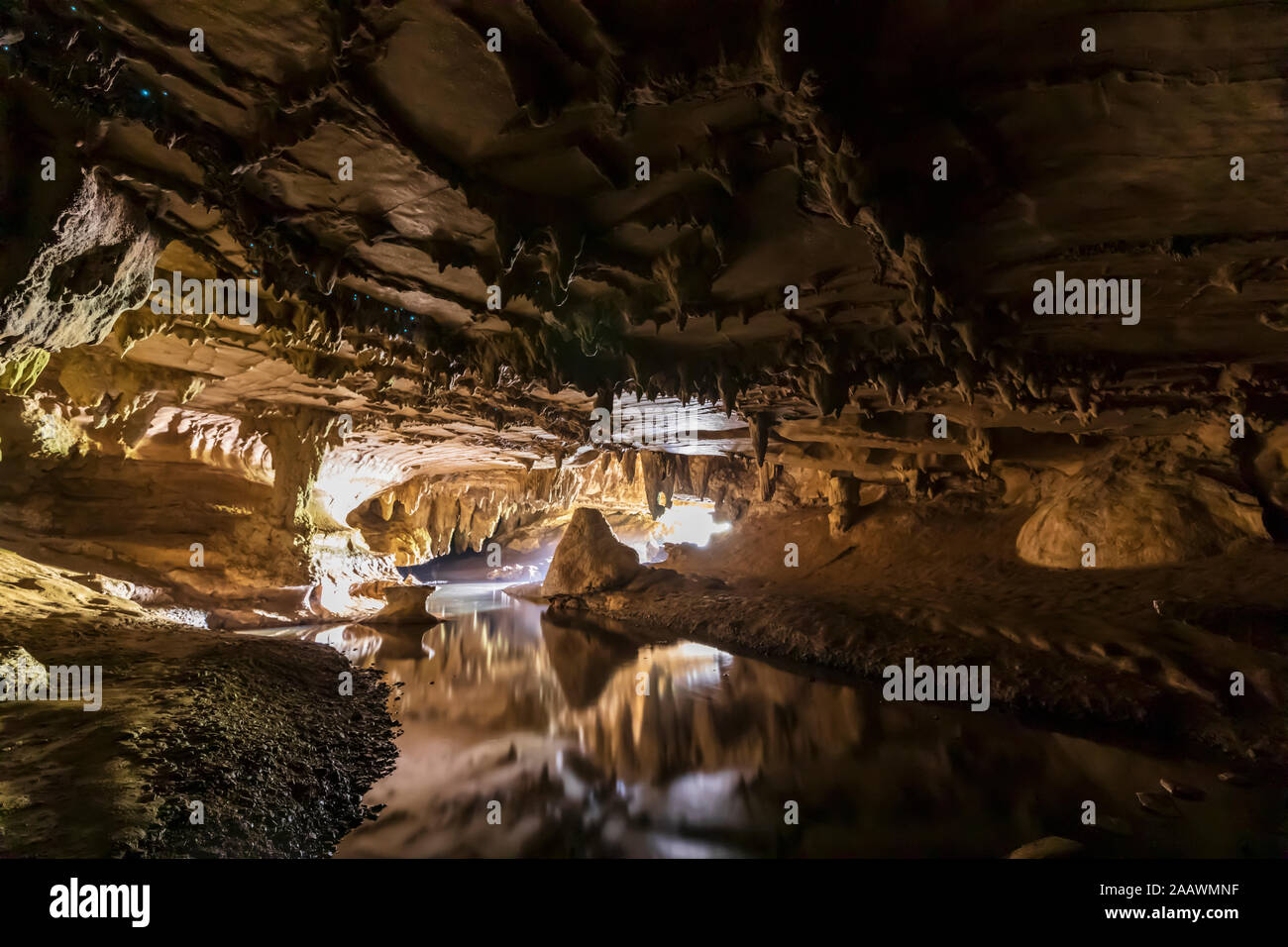 Acqua in Waipu grotta in Oceania, Nuova Zelanda Foto Stock