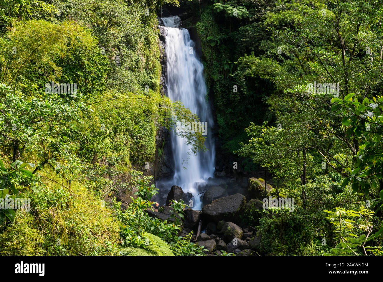 Vista panoramica di Trafalgar Falls a parco nazionale Morne Trois Pitons, Dominica, dei Caraibi Foto Stock