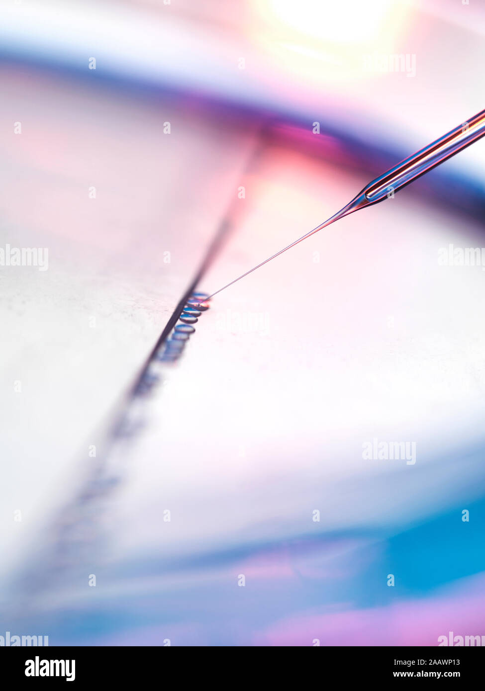 Close-up di campioni il pipettaggio in piastre petri per la ricerca sulle cellule staminali in laboratorio Foto Stock
