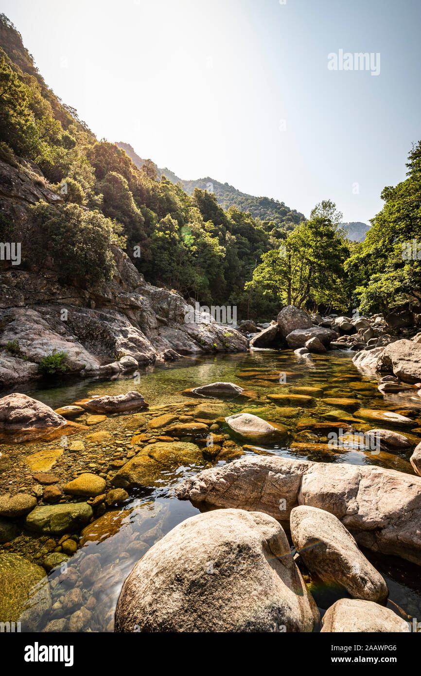 Ruisseau de Aitone, Gorges de Spelunca, Ota, Corsica, Francia Foto Stock